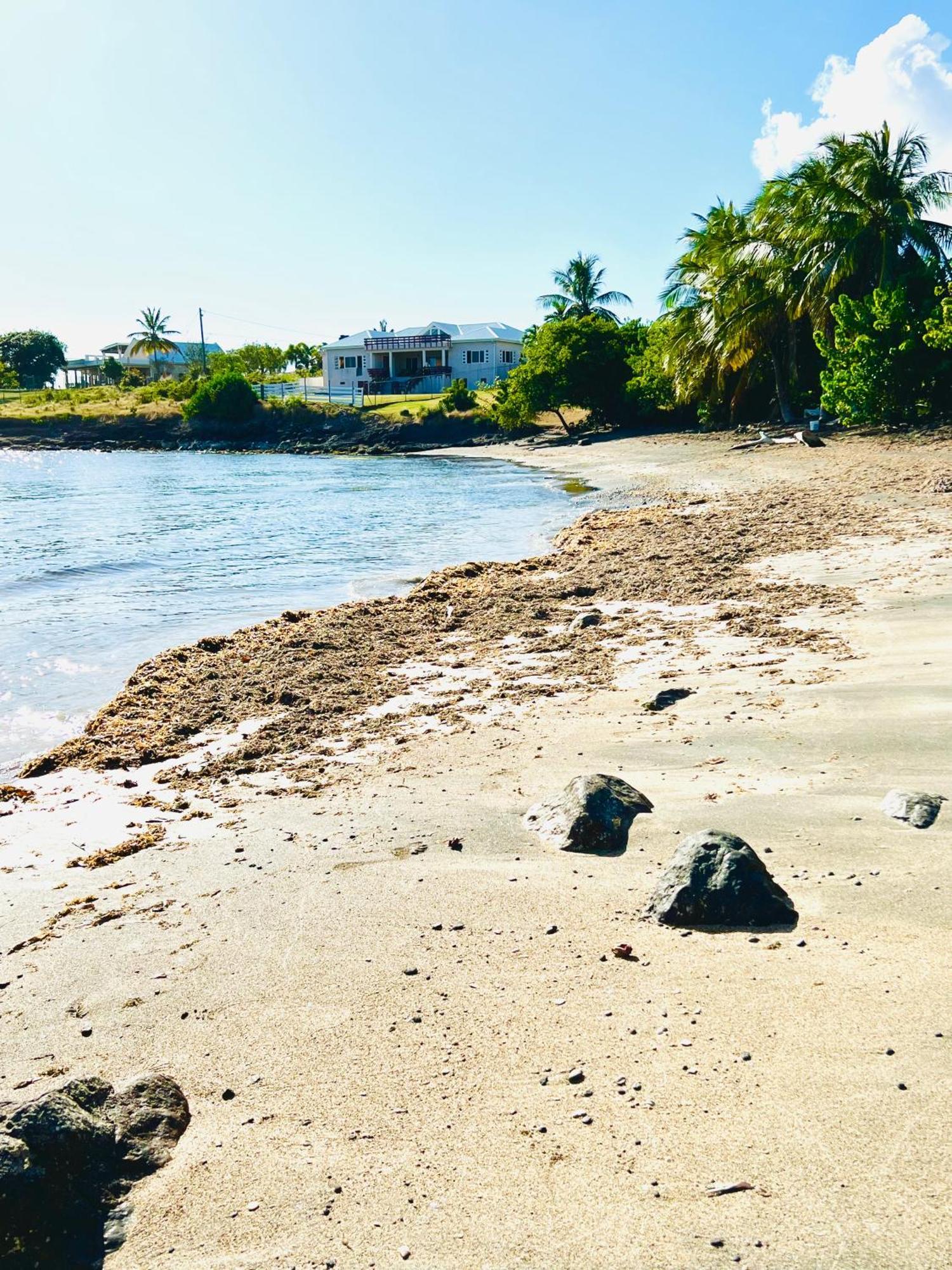 Sealavie Apartments - Grenada St. George's ภายนอก รูปภาพ